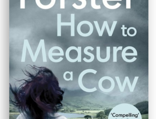 Fiction with a twist: Margaret Forster’s last novel